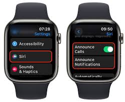 believersfactory_apple watch siri