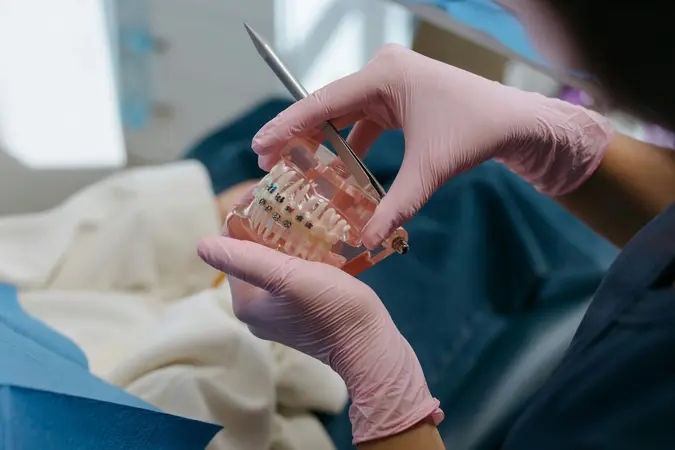 A dentist demonstrating teeth whitening and braces treatment using a dental model to explain orthodontic care.